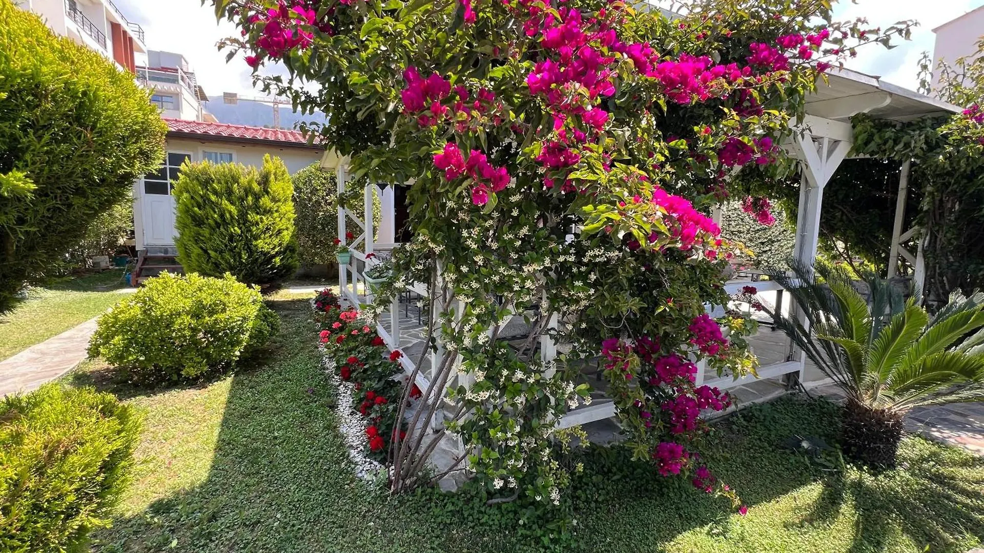 Nili Hotel Vlorë 阿尔巴尼亚