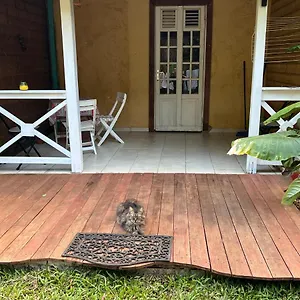 Les Oiseaux De Rachel , Sainte-Rose Guadeloupe